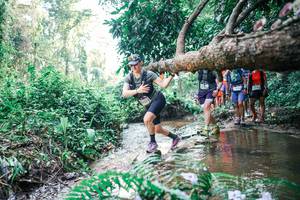 BIB: 
                            <button type="button" onclick="openModal(25458231)" class="btn btn-primary btn-sm float-right btn-popup" data-toggle="modal" data-target=".modal-high-quality">
                        <i class="fas fa-shopping-cart"></i> Add to Cart
                    </button>
                                            <button type="button" onclick="isThisMe(25458231, true)" class="btn btn-success btn-sm float-right btn-popup btn-isme hidden" data-toggle="tooltip" data-placement="bottom" title="นี่คือรูปของคุณใช่ไหม คลิกที่นี่เพื่อเอาเข้าอัลบั้ม">
                        <i class="fas fa-plus"></i> Add to album
                    </button>
                    <button type="button" onclick="isThisMe(25458231, false)" class="btn btn-warning btn-sm float-right btn-popup btn-isnotme hidden">
                        <i class="fas fa-ban"></i> Remove from album
                    </button>